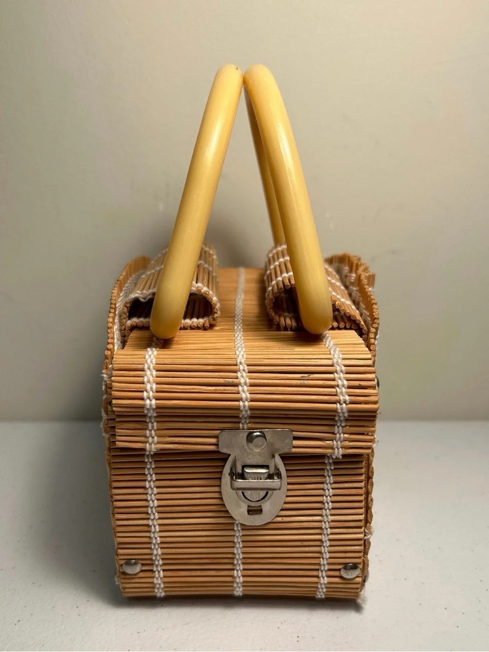 Vintage Bambo Reed Box Purse with Acrylic/Bakelite Double Handles